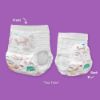 Picture of Hello Bello Premium Training Pants, Size 4T-5T (38 lbs) in Sugar Rush and Tea Time Designs, 69 Count