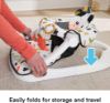 Picture of Fisher-Price Portable Baby Chair, Cute Cow Sit-Me-Up Floor Seat with BPA-Free Teether & Clacker Newborn Developmental Toys