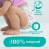 Picture of Pampers Training Pants - Easy Ups Girls & Boys - Size 2T-3T, 132 Count, My Little Pony Potty Underwear (Packaging May Vary)
