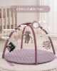 Picture of Blissful Diary Baby Play Gym Mat, Tummy Time Activity Mat with 6 Detachable Toys for Stage-Based Sensory & Motor Skill Development, Easy to Install & Clean, Baby Essentials Gift, Lavender Pink