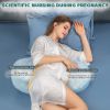 Picture of Busarilar Pregnancy Pillows for Sleeping, Maternity Pillow, Pregnancy Body Pillow Support for Back, Legs, Belly, Hips of Pregnant Women, Detachable and Adjustable with Pillow Cover (Blue, Large)