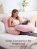 Picture of Momcozy Pregnancy Pillows for Sleeping, U Shaped Full Body Maternity Pillow for Side Sleeping - Support for Back, Legs, Belly, HIPS, 57 Inch, Pink