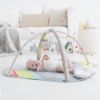 Picture of Skip Hop Baby Play Gym, Silver Lining Cloud, Grey