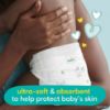 Picture of Pampers Swaddlers Newborn Diaper Size 1 164 Count (Pack of 2)