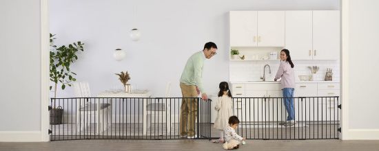 Picture of Regalo 192-Inch Super Wide Adjustable Baby Gate and Play Yard, Black, 4-in-1, Bonus Kit, Includes 4 Count (Pack of 1) of Wall Mounts