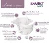 Picture of Bambo Nature Hypoallergenic Baby Diapers, Eco-Labeled Diapers, Enhanced Leakage Protection, Totally Chlorine-free, Skin Friendly, and Super Absorbent - Size 6 (288 Count)