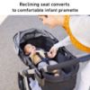 Picture of Graco Modes Pramette Travel System
