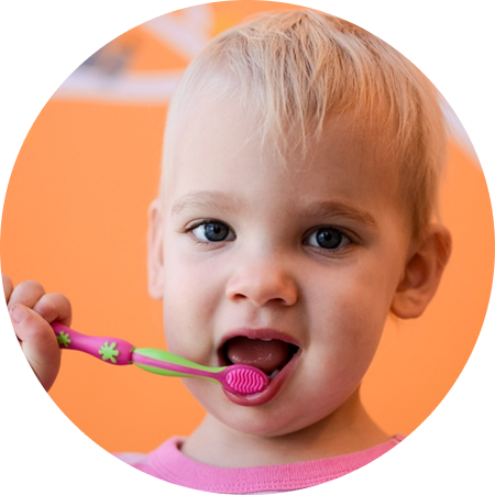 Picture for category Toothbrushes