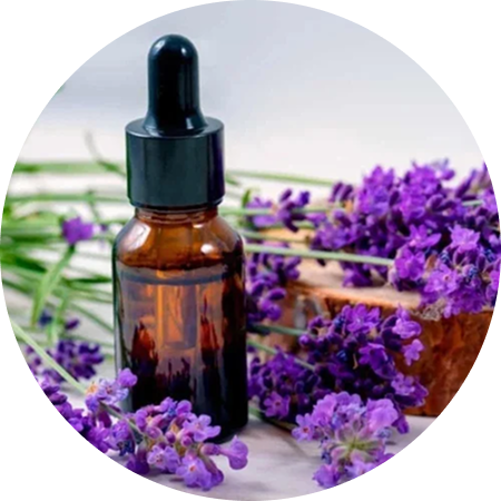 Picture for category Aromatherapy