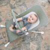 Picture of Baby Delight Highland Baby Bouncer | Infant | 0 - 6 Months | 3-Position Recline | Sage Tweed