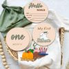 Picture of Monthly Baby Milestone Maker Discs, Baby Milestone Signs for Newborn Baby, Hello World Newborn Sign for Girl & Boy, Baby Announcement Sign for 1-12 Month, Milestone Wooden Circles (Sage)