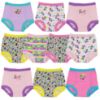 Picture of Disney Girls Minnie Mouse Pants 3-pk, 10-pk Sizes 18m, 2t, 3t & 4t Baby And Toddler Potty Training Underwear, Minnietraining10pk, 2T US
