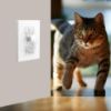 Picture of Light Switch Guard Cover, 2 ChildProof Wall Switch Guard Cover for Toggle Light Switch Protects Your Lights or Circuits from being Accidentally Turned On or Off