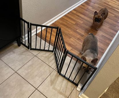 Picture of BFNN Free Standing Dog Gate, 16.5" Short Pet Gate for Stairs and Doorways, Up to 48" Wide Foldable Puppy Fence, Indoor & Outdoor Use, No Drilling and No Assembly, for Small & Toy Dogs, Black