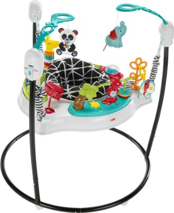 Picture of Fisher-Price Baby Bouncer Pink Petals Jumperoo Musical Activity Center with Lights Sounds & Developmental Toys