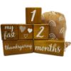 Picture of Pondering Pine Baby Milestone Blocks - Natural Brown Stain Pine Wood with Weeks Months Years Grade and Holidays, Newborn Weekly Monthly First Year Picture Props, 6 Block Milestones Age Set with Bag