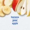 Picture of Gerber My 1st Fruits Starter Kit, Banana, Pear & Apple Puree, 2 Ounce Tubs, 2-Pack (Set of 6)