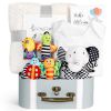 Picture of iAOVUEBY Baby Gift Set, Baby Shower Gifts, Black and White High Contrast Baby Toys 0-6 Months for Newborn Essentials Infant Rattle Socks Elephant Toys Blanket Onesies Baby Gift Basket for Girls Boys