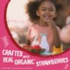 Picture of Earth's Best Organic Kids Snacks, Sesame Street Toddler Snacks, Organic Sunny Days Snack Bars for Toddlers 2 Years and Older, Strawberry with Other Natural Flavors, 16 Bars Per Box
