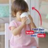 Picture of Enfagrow Premium Toddler Milk Nutritional Drink, Enfagrow Toddler Drink, Try Our Brain-Supporting Trio, 32oz Can