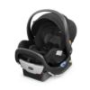 Picture of Chicco Fit2 Infant and Toddler Car Seat and Base, Rear-Facing Seat for Infants and Toddlers 4-35 lbs., Compatible with Chicco Strollers, Baby Travel Gear | Staccato/Black